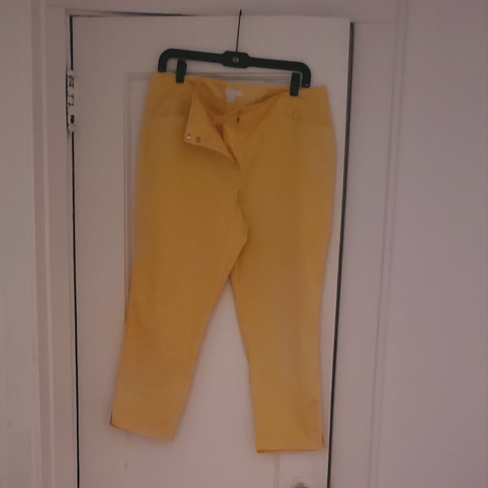 Pants